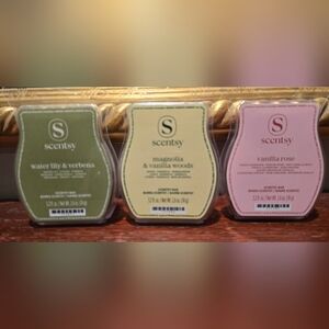 Scentsy Wax Melts (3)